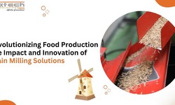 Revolutionizing Food Production: The Impact and Innovation of Grain Milling Solutions