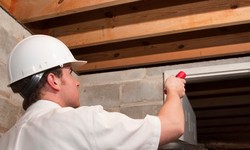 The Role of Pest Inspection in Property Maintenance