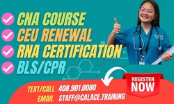 Choosing the Right CNA Online Classes for Me
