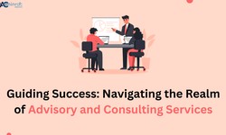 Guiding Success: Navigating the Realm of Advisory and Consulting Services