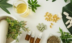 Holistic Wellness: Integrating Nutraceuticals into Everyday Life