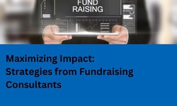 Maximizing Impact: Strategies from Fundraising Consultants