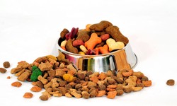 Setting up a Pet Food Manufacturing Plant: Project Report 2024 Edition