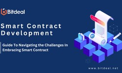 Navigating the Challenges of Smart Contract Development: A Guide for Entrepreneurs