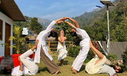 Unveiling The Spiritual Haven: The Best Yoga School In Rishikesh India