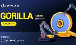 Gorilla (GORILLA) Project Research Report: Creating a Community Journey into the Blockchain Wilderness