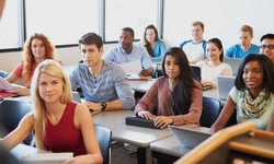 Tips for Becoming a Successful German Education Consultant