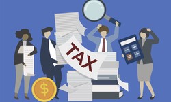 Legal Rights During a Tax Investigation: Know Your Options