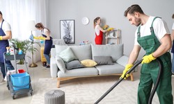 The Ultimate Guide to Commercial Carpet Cleaning Services