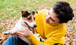 Navigating Emotional Support Animal Laws in Oklahoma: A Comprehensive Guide