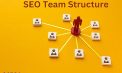 Moving Forward to Success with an Effective SEO Team Structure