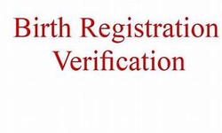 Streamlining Identity Verification: The Rise of Birth Certificate Online Checks