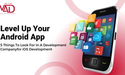 Level Up Your Android App: 5 Things To Look For In A Development Company