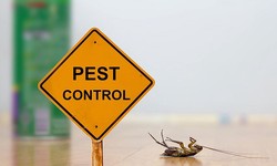 Rapid Response Pest Control: Same-Day Peace of Mind
