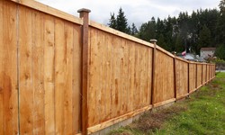 Unveiling the Benefits of Vinyl Fencing in Etobicoke
