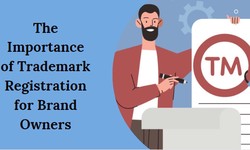 The Importance of Trademark Registration for Brand Owners