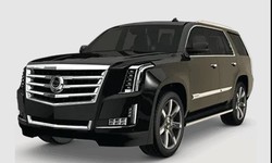 Luxurious Travel Made Effortless with AWN Limo: Limousine Service in New York