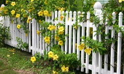 Elevate Your Property: Unveiling the Best in Vinyl Fencing in Mississauga
