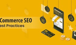 5 Affordable Ecommerce SEO Services to Skyrocket Your Sales