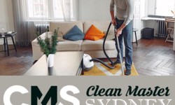 Eco-Friendly Luxury: Sustainable Carpet Cleaning Solutions in Sydney