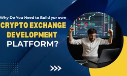Why Do You Need to Build an own Cryptocurrency Exchange Development platform?