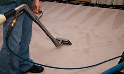 Renew Your Home's Beauty: Superior Carpet Cleaning Solutions