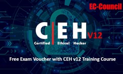 How to Choose the Best CEH Class in Pune for Your Needs