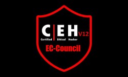 Prepare for Success: CEH Training with Certification in Pune