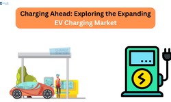 Charging Ahead: Exploring the Expanding EV Charging Market