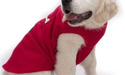 Winter Essentials: Choosing the Perfect Dog Coat for Australian Weather