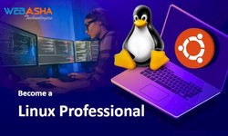Exploring the Top Linux Learning Options in Pune