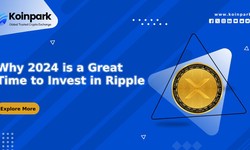 Why 2024 is a Great Time to Invest in Ripple