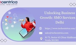 Unlocking Business Growth: SMO Services in Delhi