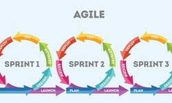 "Agile Evolution: Transforming Software Development at Technothinksup"