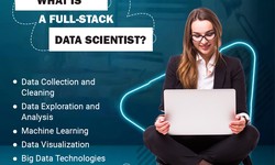 What is a Full-Stack Data Scientist?