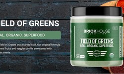 Discover the Power of Field of Greens: Your Organic Superfood Solution
