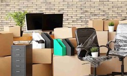 Professional Moving Services in US