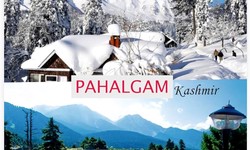 Exploring Pahalgam: A Unique Traveler's Handbook