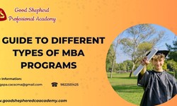 A Guide to Different Types of MBA Programs