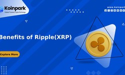 Benefits of Ripple(XRP)
