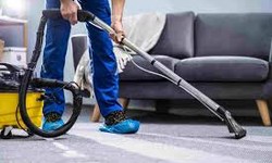 Carpet Cleaner in Stevenage: The Ultimate Guide to Professional Carpet Cleaning
