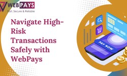 Navigate High-Risk Transactions Safely with WebPays