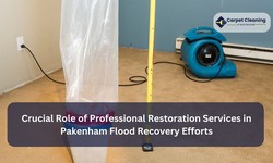 The Crucial Role of Professional Restoration Services in Pakenham Flood Recovery Efforts