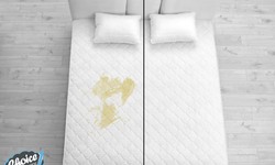 Why It's Important to Have Your Mattress Cleaned
