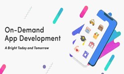 On-demand App Development For a Small Business