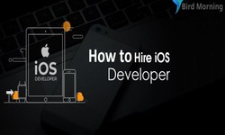 A step-by-step guide on how to hire iPhone app developers
