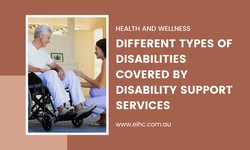 Different Types of Disabilities Covered by Disability Support Services