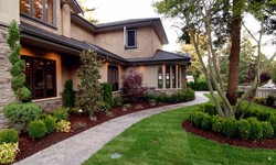 Mastering Outdoor Aesthetics: The Role of a Skilled Landscaper