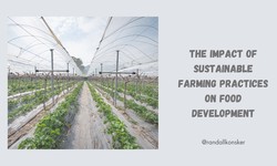 Randall Randy Konsker | The Impact of Sustainable Farming Practices on Food Development