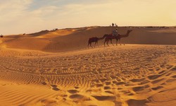 Desert Safari Adventures: Exploring India's Arid Landscapes